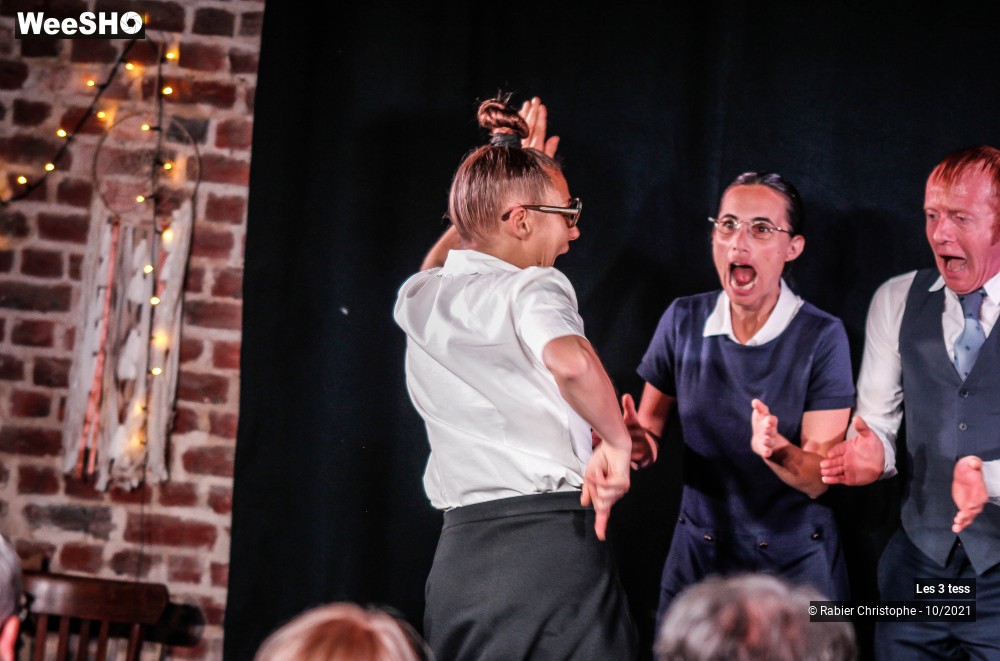 25/50 photos du spectacle Les 3 Tess