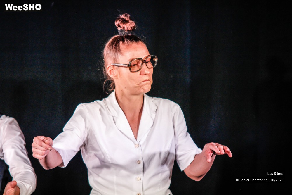 32/50 photos du spectacle Les 3 Tess