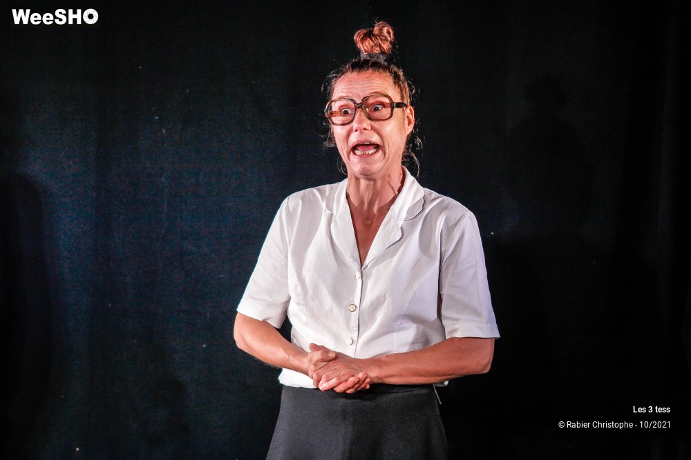 39/50 photos du spectacle Les 3 Tess