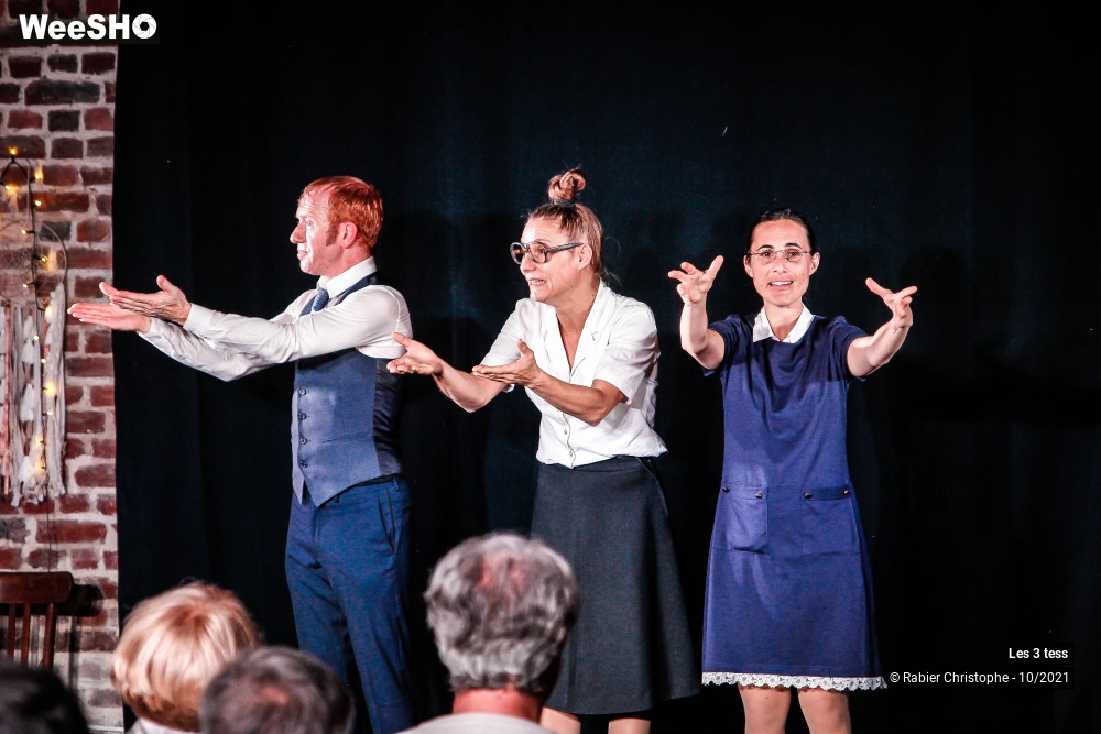 41/50 photos du spectacle Les 3 Tess