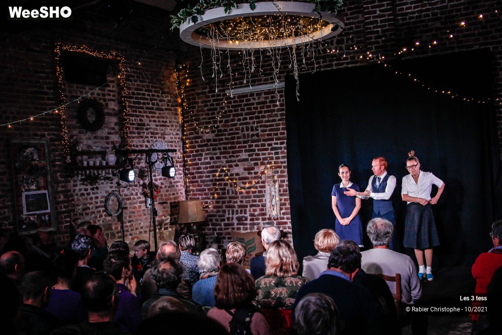 46/50 photos du spectacle Les 3 Tess