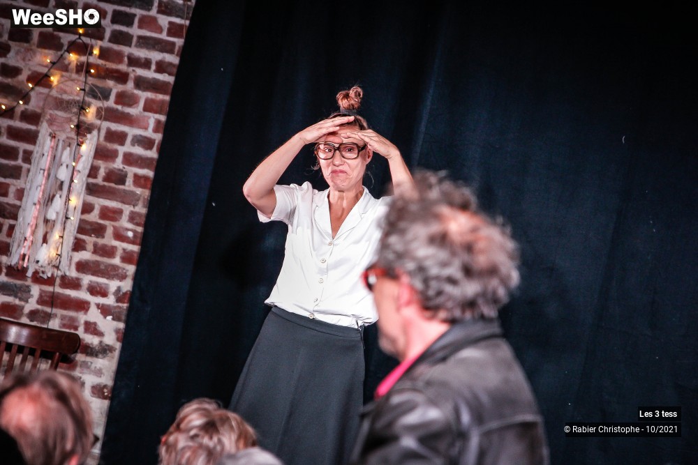 47/50 photos du spectacle Les 3 Tess