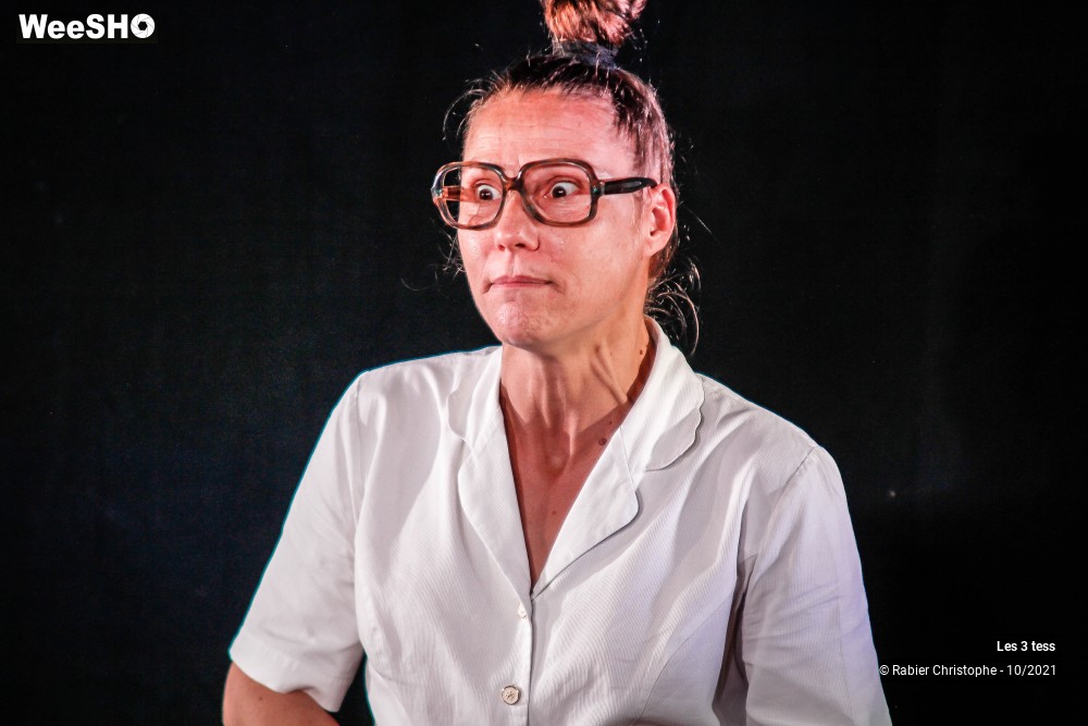 48/50 photos du spectacle Les 3 Tess