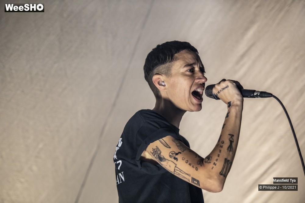 3/6 photos du spectacle Mansfield Tya