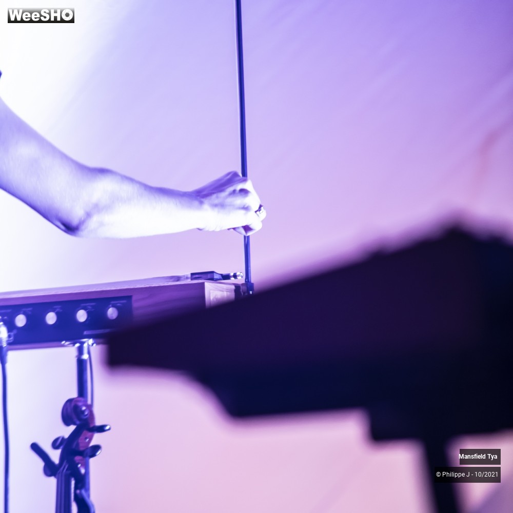 4/6 photos du spectacle Mansfield Tya