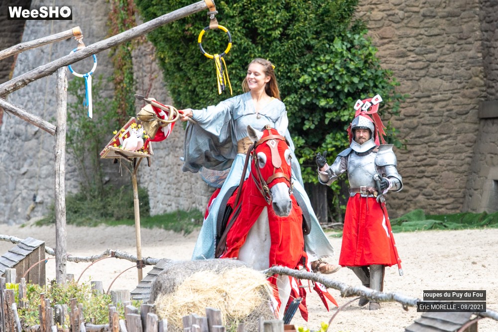 1/41 photos du spectacle Puy du Fou