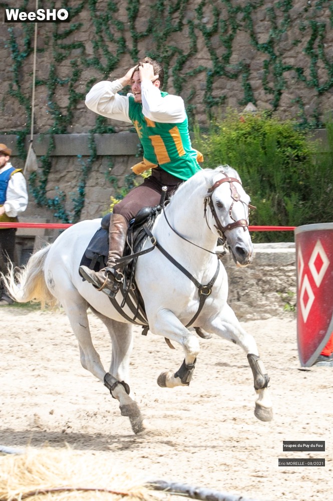 2/41 photos du spectacle Puy du Fou
