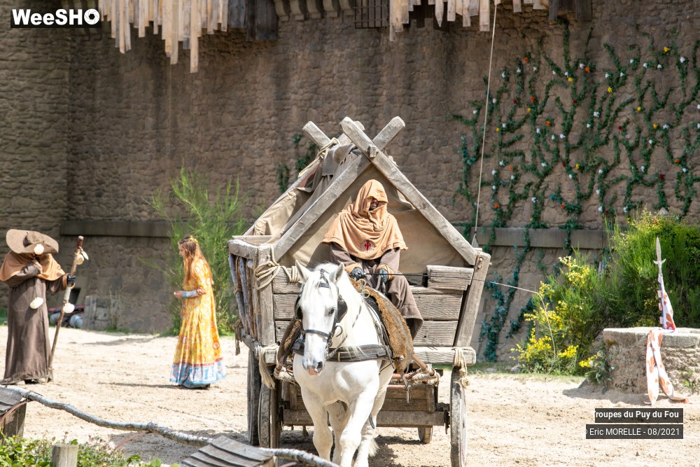 4/41 photos du spectacle Puy du Fou