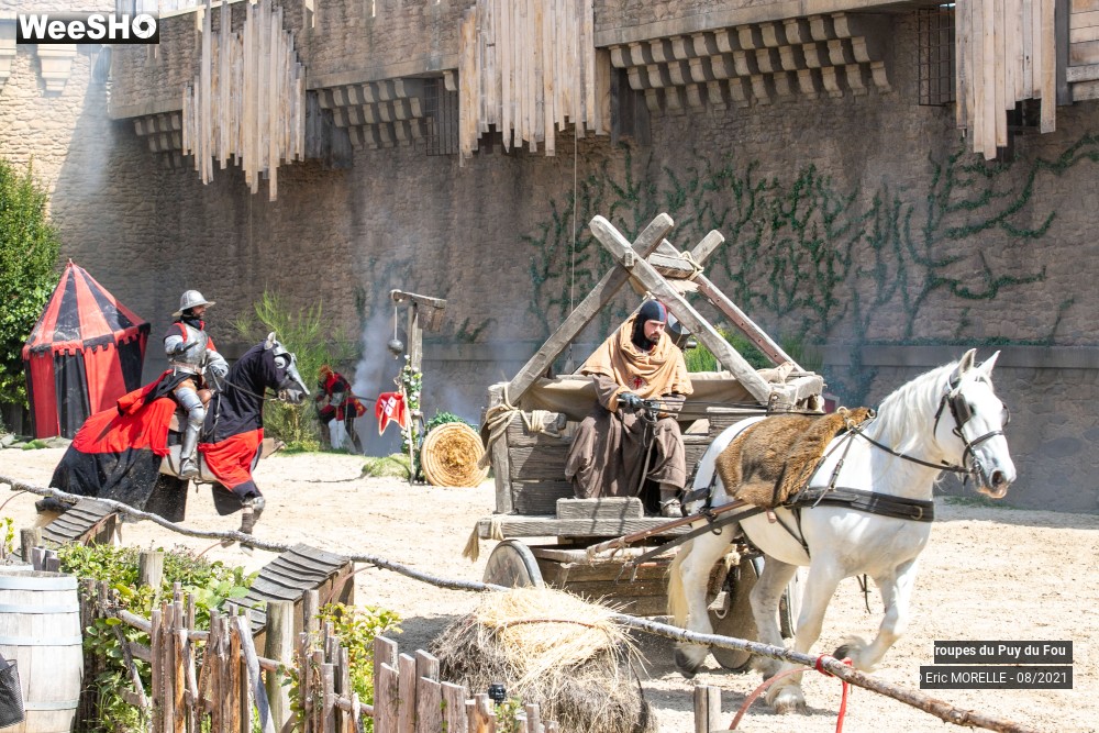5/41 photos du spectacle Puy du Fou