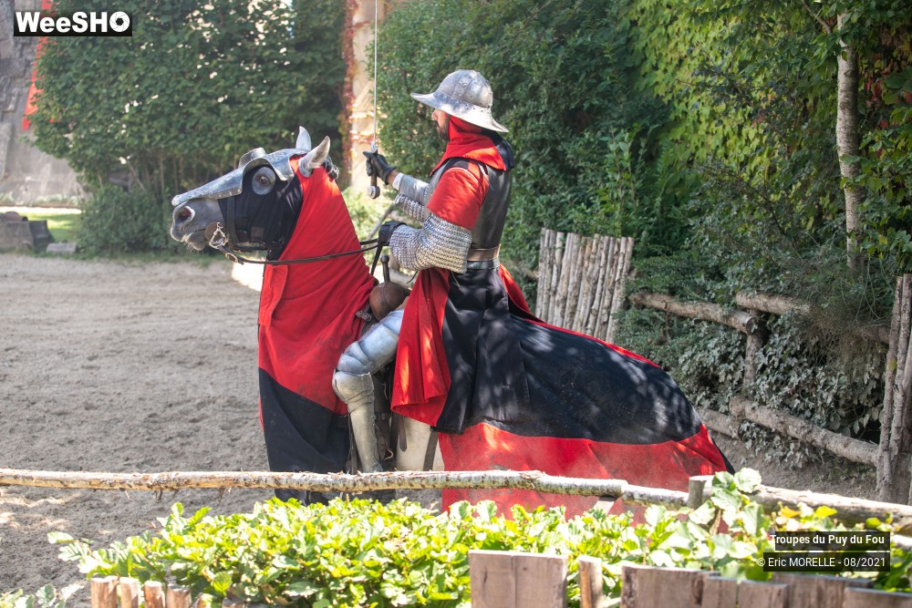 8/41 photos du spectacle Puy du Fou