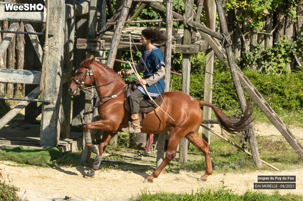 17/41 photos du spectacle Puy du Fou