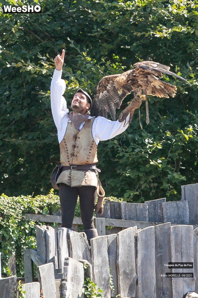 25/41 photos du spectacle Puy du Fou