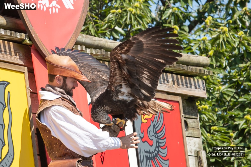 27/41 photos du spectacle Puy du Fou