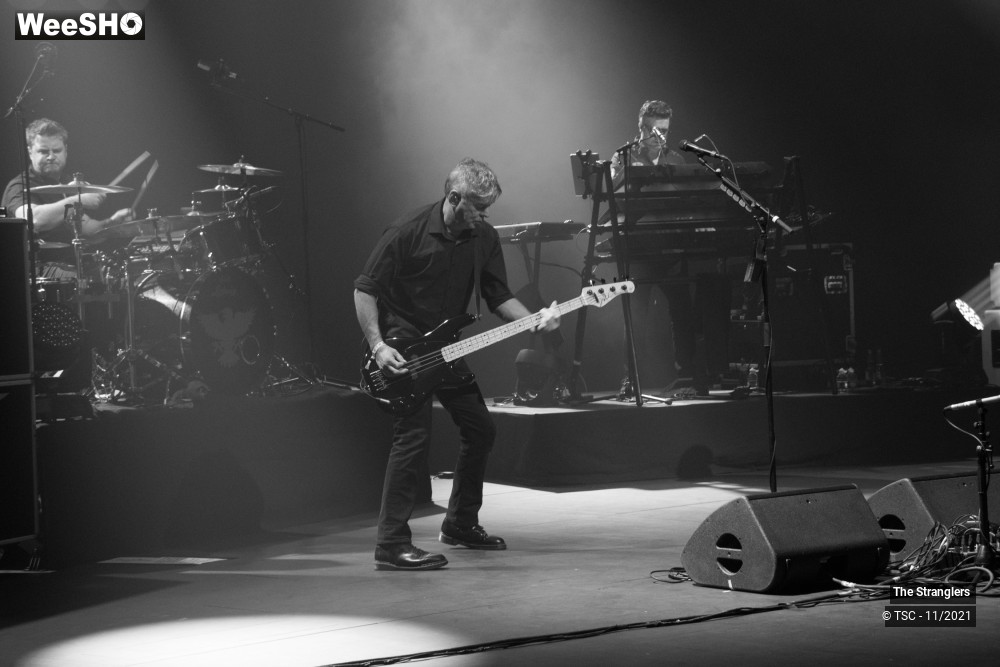 6/9 photos du spectacle The Stranglers - European Tour 2021