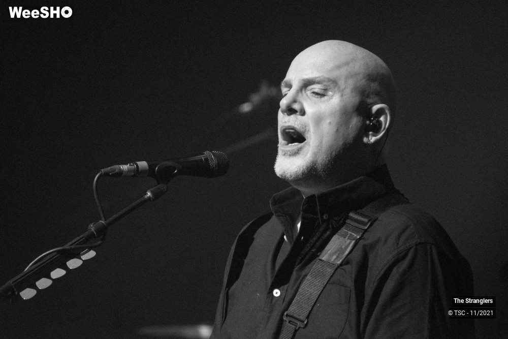 8/9 photos du spectacle The Stranglers - European Tour 2021