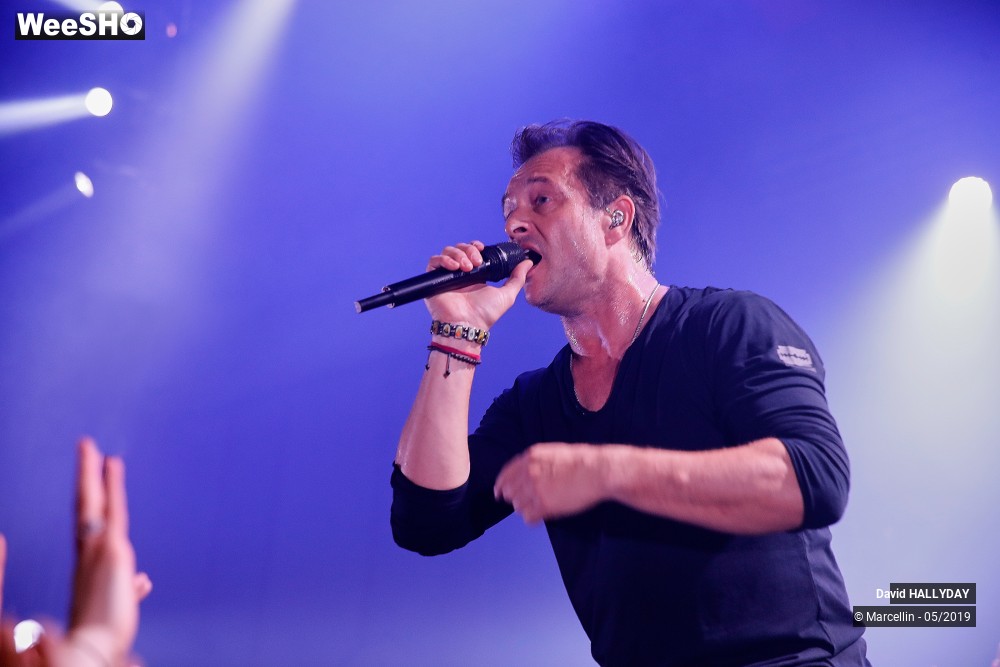 3/31 photos du spectacle David Hallyday