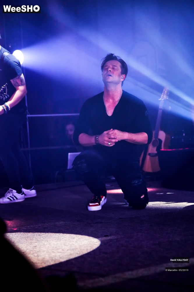 13/31 photos du spectacle David Hallyday