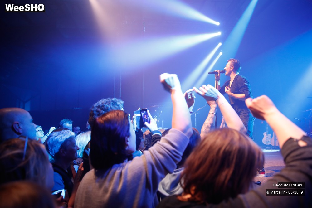 14/31 photos du spectacle David Hallyday