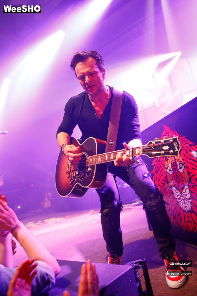 15/31 photos du spectacle David Hallyday