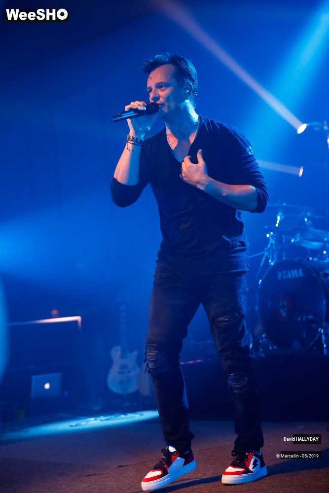 19/31 photos du spectacle David Hallyday