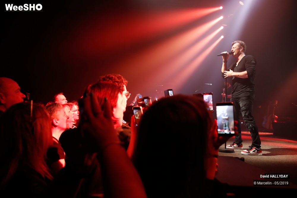 21/31 photos du spectacle David Hallyday