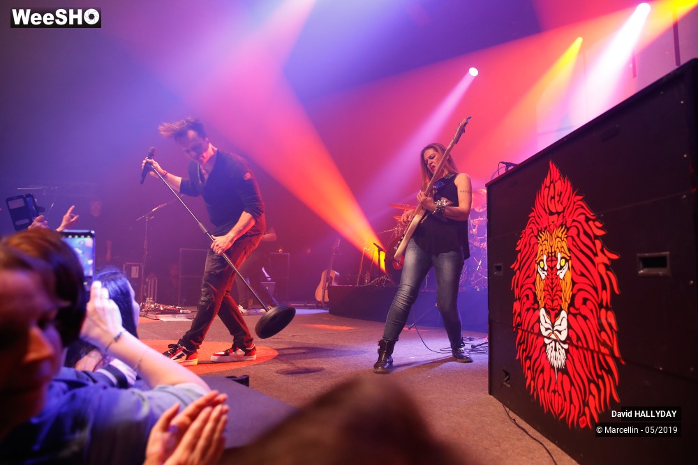 25/31 photos du spectacle David Hallyday