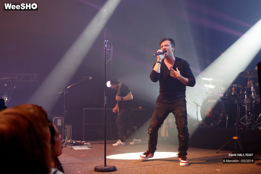 28/31 photos du spectacle David Hallyday