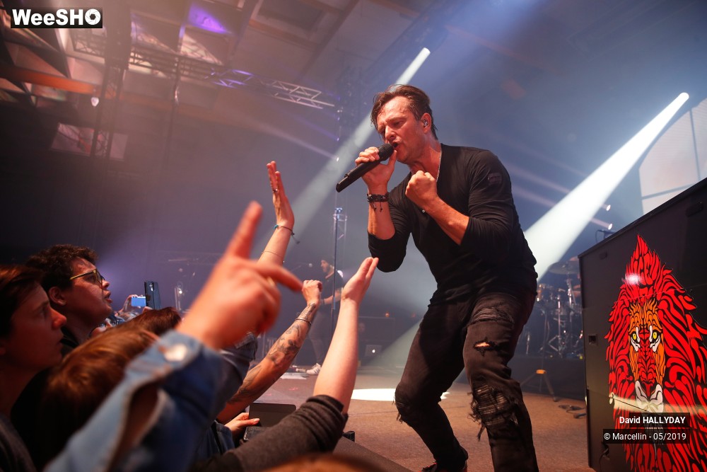 29/31 photos du spectacle David Hallyday