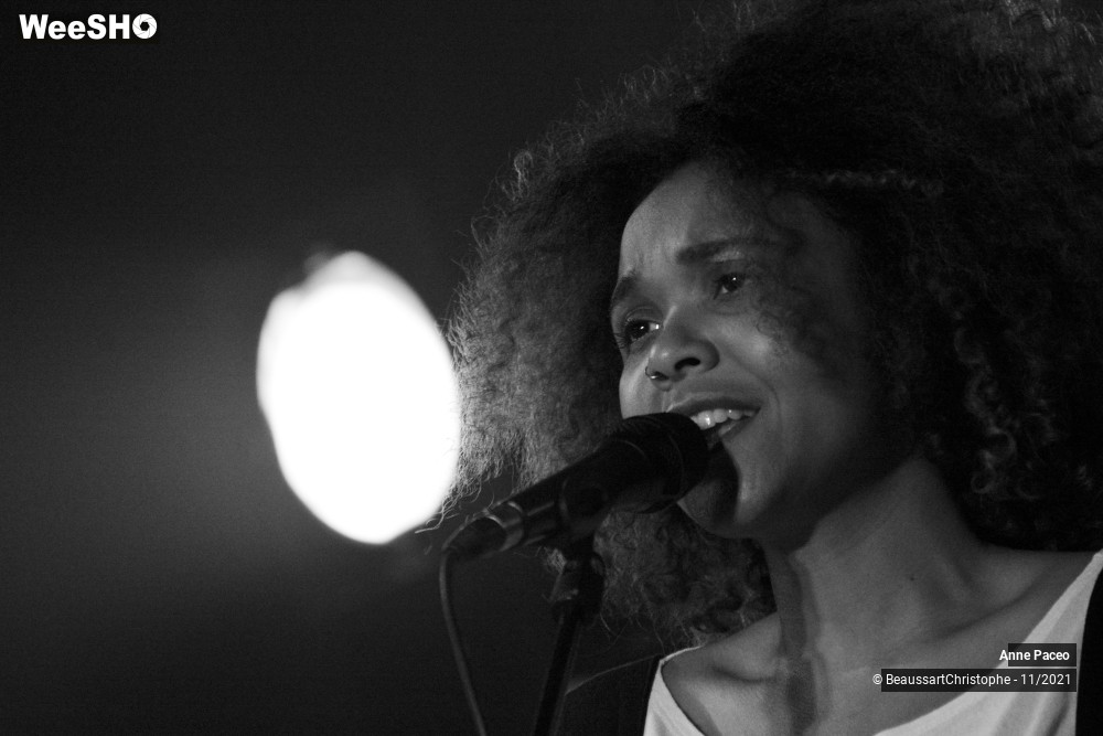 26/40 photos du spectacle Anne Paceo