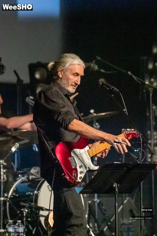 17/65 photos du spectacle Murray Head