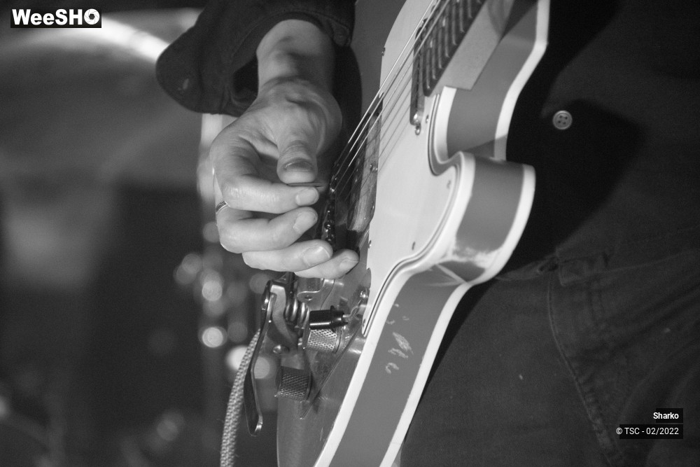 16/19 photos du spectacle Sharko