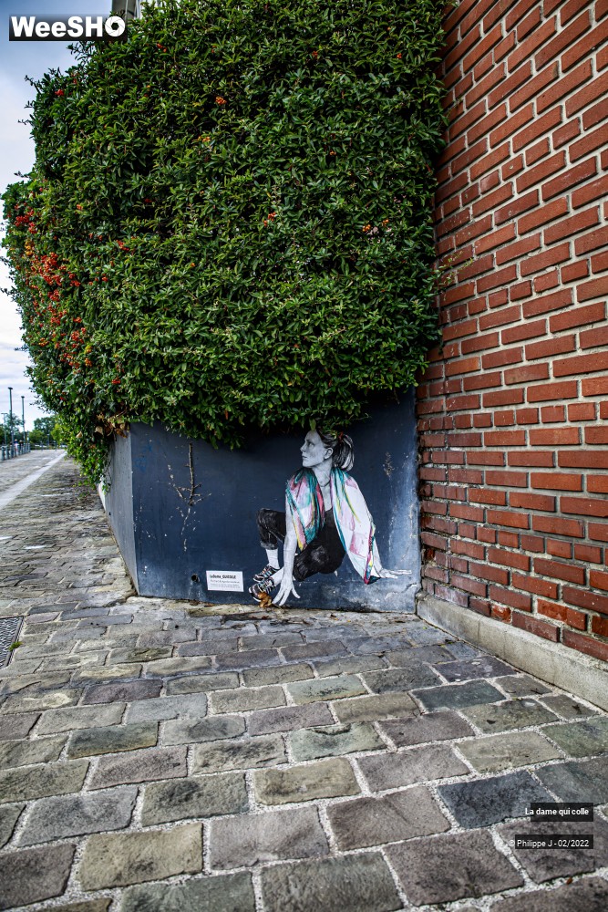 5/24 photos du spectacle La dame qui colle