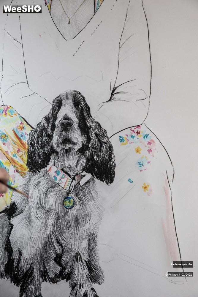 19/24 photos du spectacle La dame qui colle