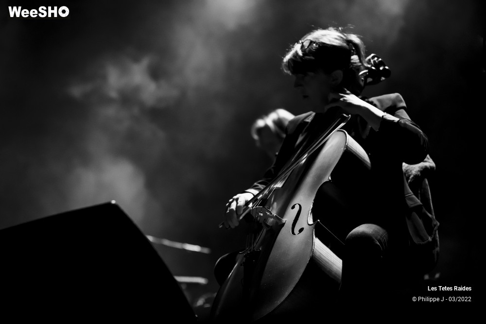 4/30 photos du spectacle Les Têtes raides