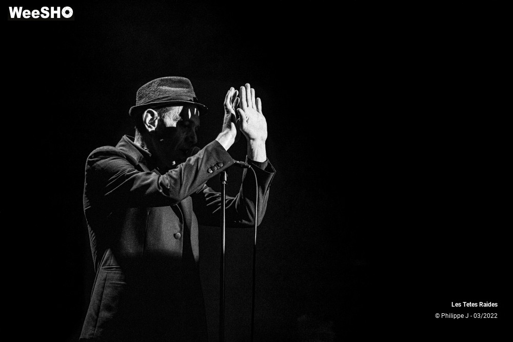 13/30 photos du spectacle Les Têtes raides