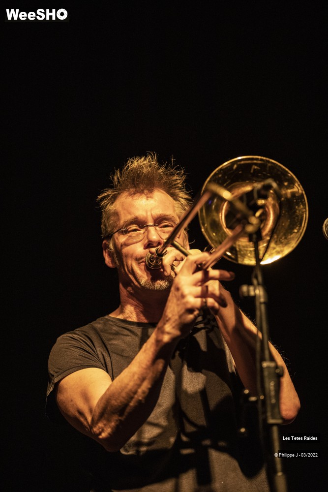 16/30 photos du spectacle Les Têtes raides