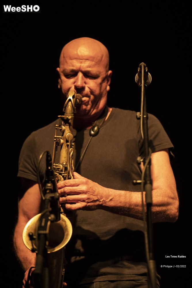 17/30 photos du spectacle Les Têtes raides