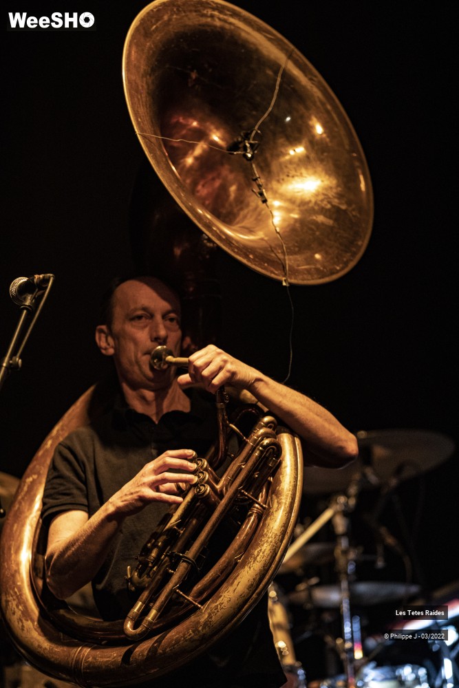 18/30 photos du spectacle Les Têtes raides