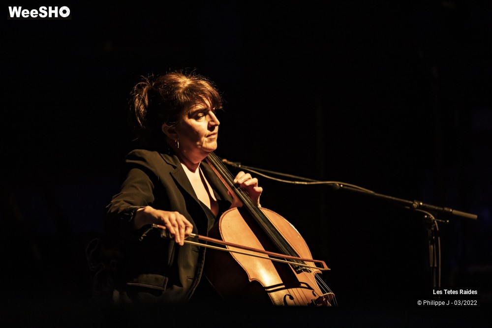 19/30 photos du spectacle Les Têtes raides