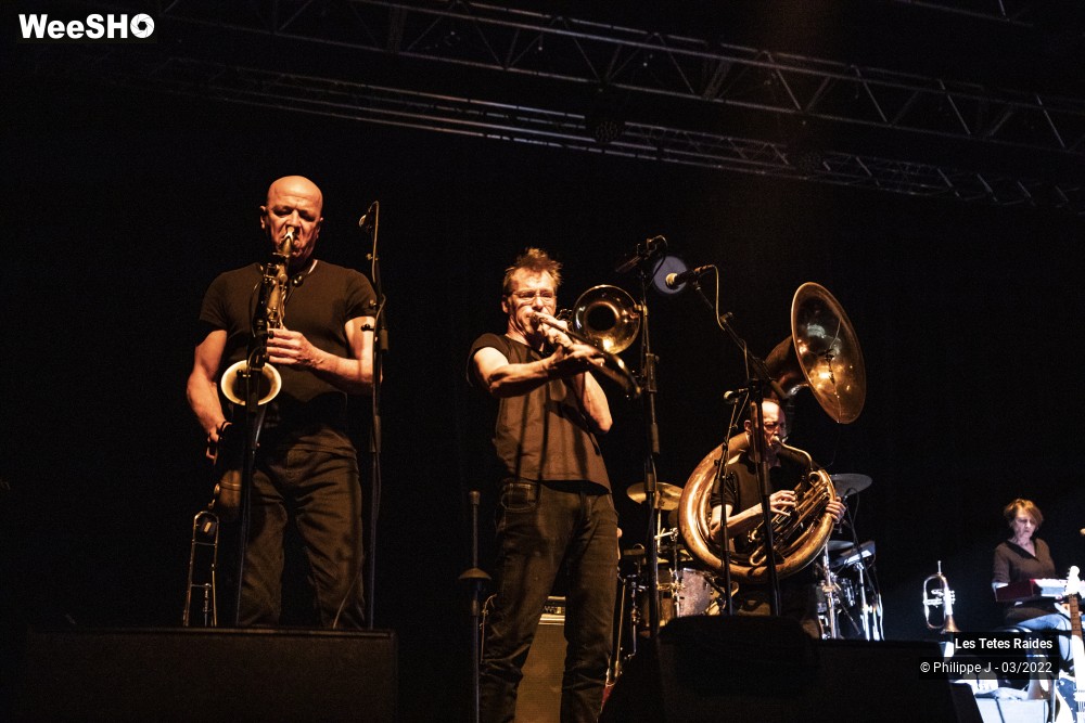 22/30 photos du spectacle Les Têtes raides