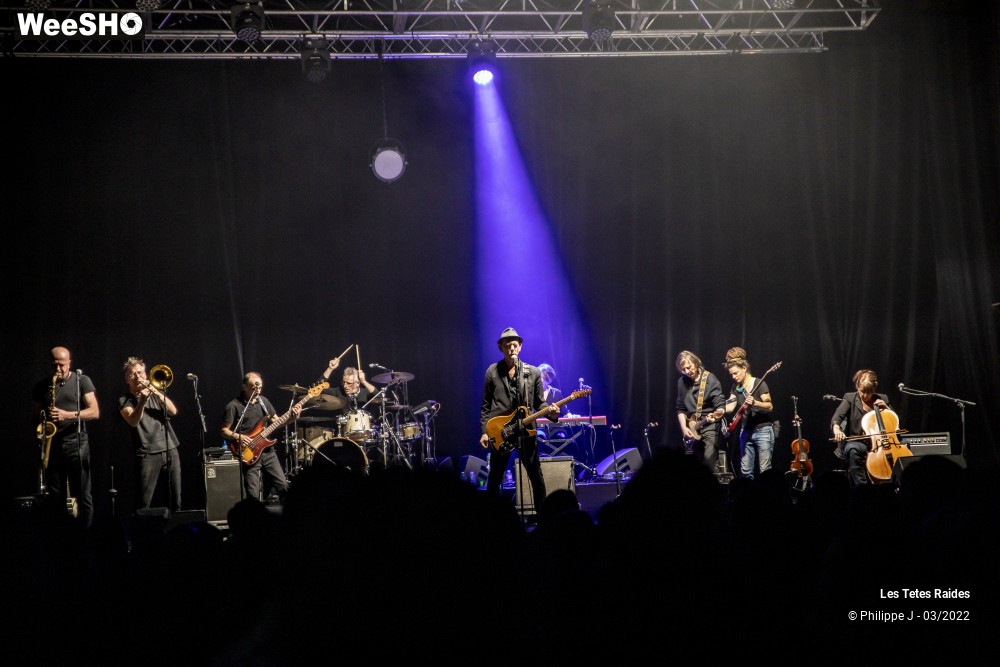 30/30 photos du spectacle Les Têtes raides