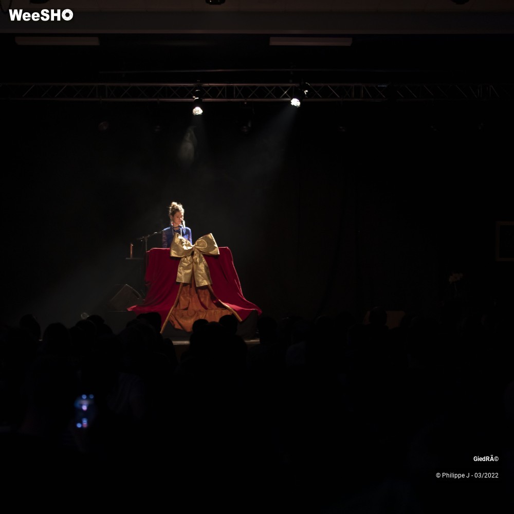 2/32 photos du spectacle GiedRé