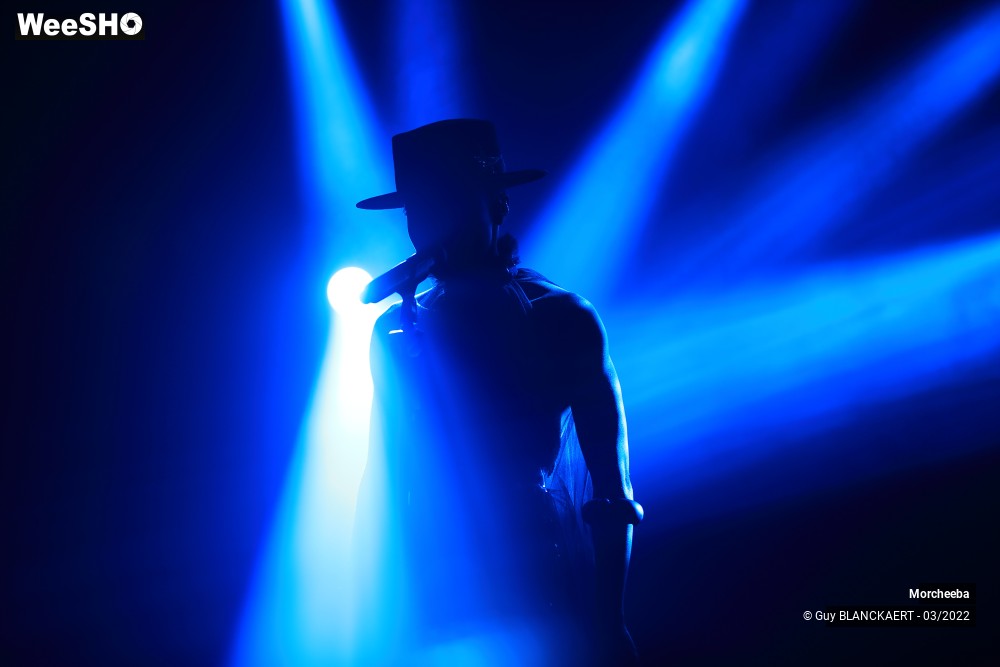 22/27 photos du spectacle Morcheeba