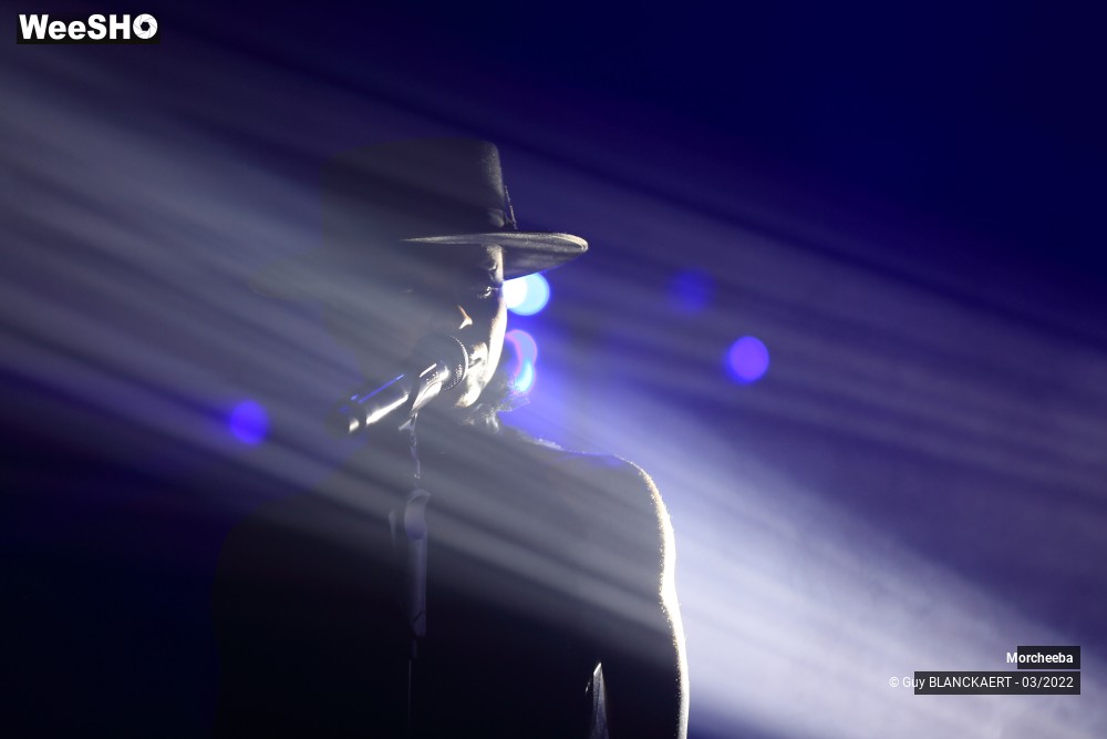 23/27 photos du spectacle Morcheeba