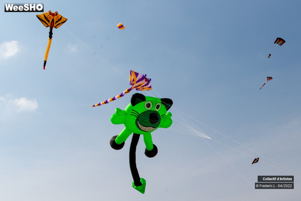 4/100 photos du spectacle 35ème Rencontres Internationales de Cerfs-Volants