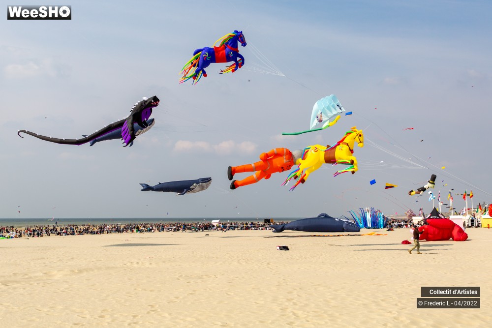 5/100 photos du spectacle 35ème Rencontres Internationales de Cerfs-Volants