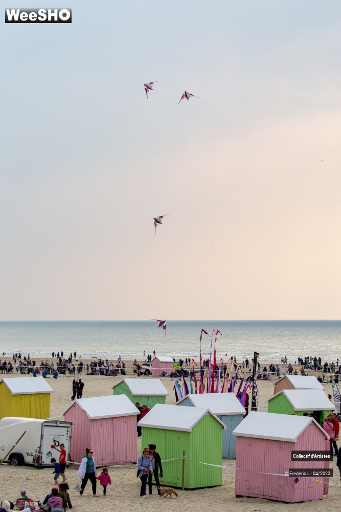 8/100 photos du spectacle 35ème Rencontres Internationales de Cerfs-Volants