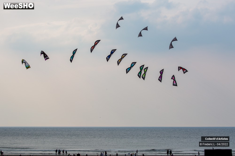 10/100 photos du spectacle 35ème Rencontres Internationales de Cerfs-Volants