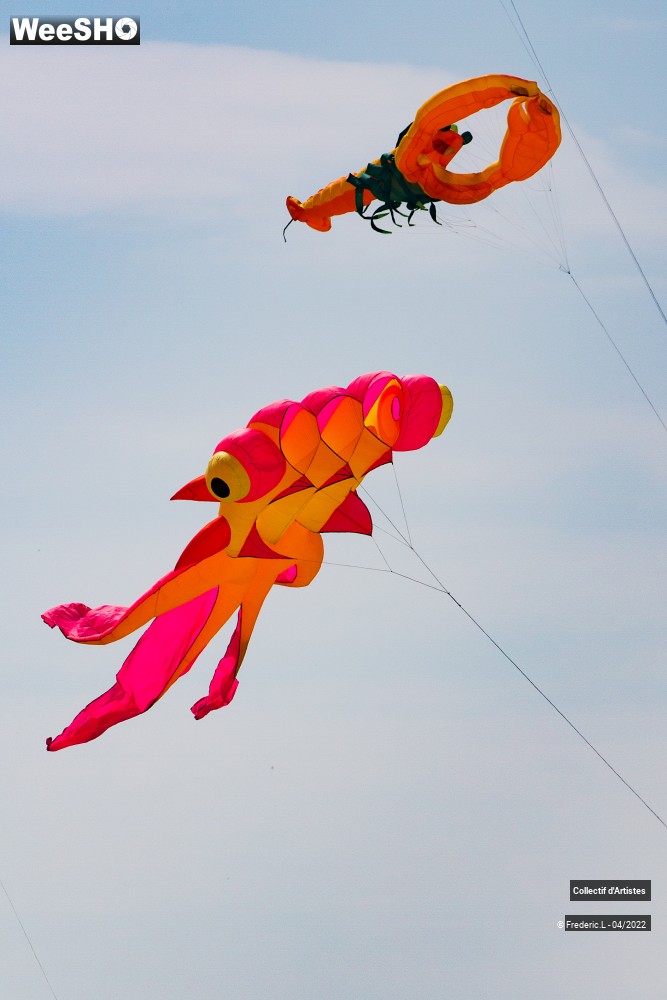 12/100 photos du spectacle 35ème Rencontres Internationales de Cerfs-Volants