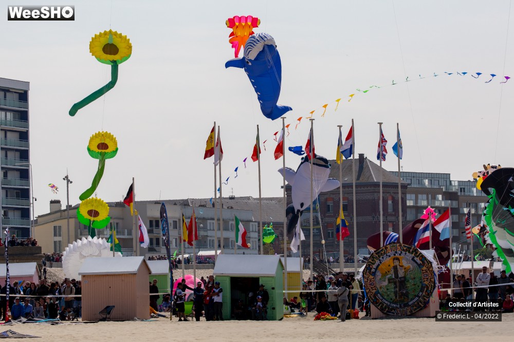 13/100 photos du spectacle 35ème Rencontres Internationales de Cerfs-Volants